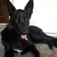 Janet Loveless Photo 14