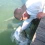 Jonathan Hendrickson Photo 18