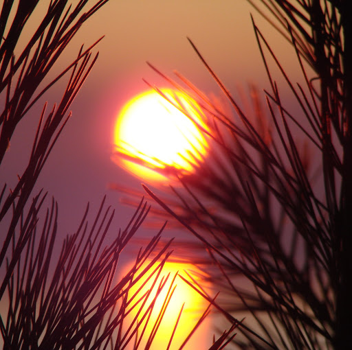 Jeff Mccarthy Photo 40