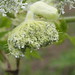 Kent Duren Photo 11