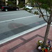 Judy Peterson Photo 29