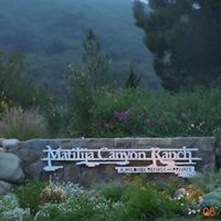 Kathryn Springer Photo 20