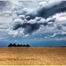 Mark Moorhead Photo 9