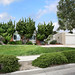 Delores Sherman Photo 9