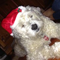 Diane Schram Photo 6
