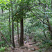 Marion Davis Photo 19