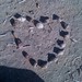Larry Shell Photo 15