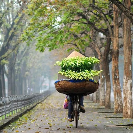 Tran Dinh Photo 10