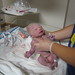 Joseph Landon Photo 20