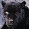 Richard Demers Photo 29