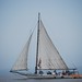Martha Lewis Photo 7