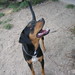 Cody Tanner Photo 33