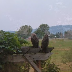 Linda Shinn Photo 27