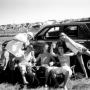 John Neubauer Photo 17