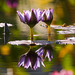 Robert Phipps Photo 14