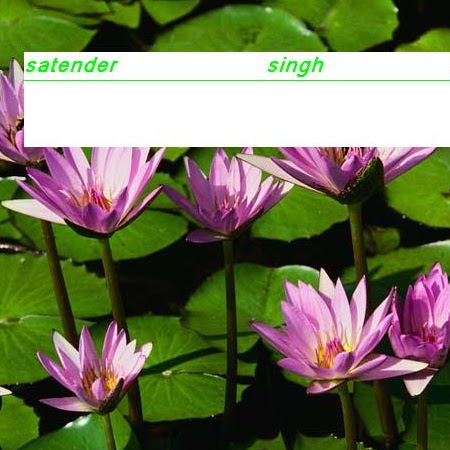 Bharti Purohit Photo 3