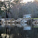 Linda Reaves Photo 8