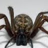 Alvin Webb Photo 24