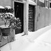Marcos Cortes Photo 36
