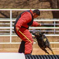Terrie Ford Photo 10