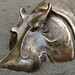 Mark Ferrante Photo 32