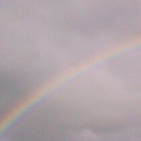 Cynthia Redfern Photo 2