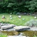 Carolyn Park Photo 18