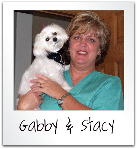 Stacy Porter Photo 34