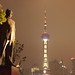 Pearl Chen Photo 37