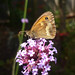 Ian Leach Photo 35