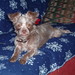 Rhoda Henderson Photo 7