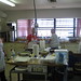 Doris Sullivan Photo 31