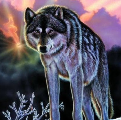 Phillip Wagner Photo 8