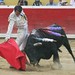 Otto Rodriguez Photo 20