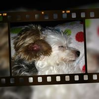 Vicki Cooley Photo 11