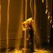 Jose Navarrete Photo 15