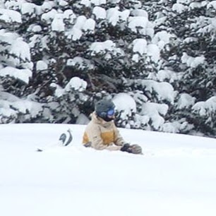 Nick Brady Photo 12