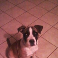 Randall Mitchell Photo 34