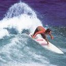 Jason Roe Photo 27