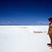 Maribeth White Photo 8