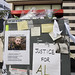 Allan Powers Photo 9