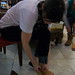 Lisa Oak Photo 9