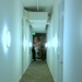 David Brower Photo 43