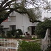 Curtis Clay Photo 29