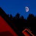 Allen Falk Photo 10