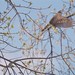 Robin Swift Photo 21