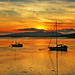 Allan Connel Photo 4