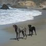 Sue Porter Photo 35