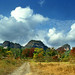 Nanping Wu Photo 11