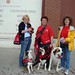 Paula Addison Photo 9